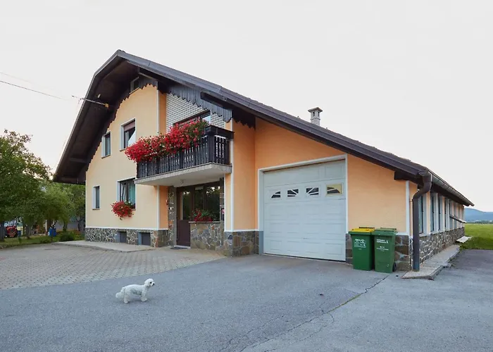 Appartamento Apartma Steles *